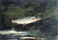 Homer, Winslow - Leaping Trout